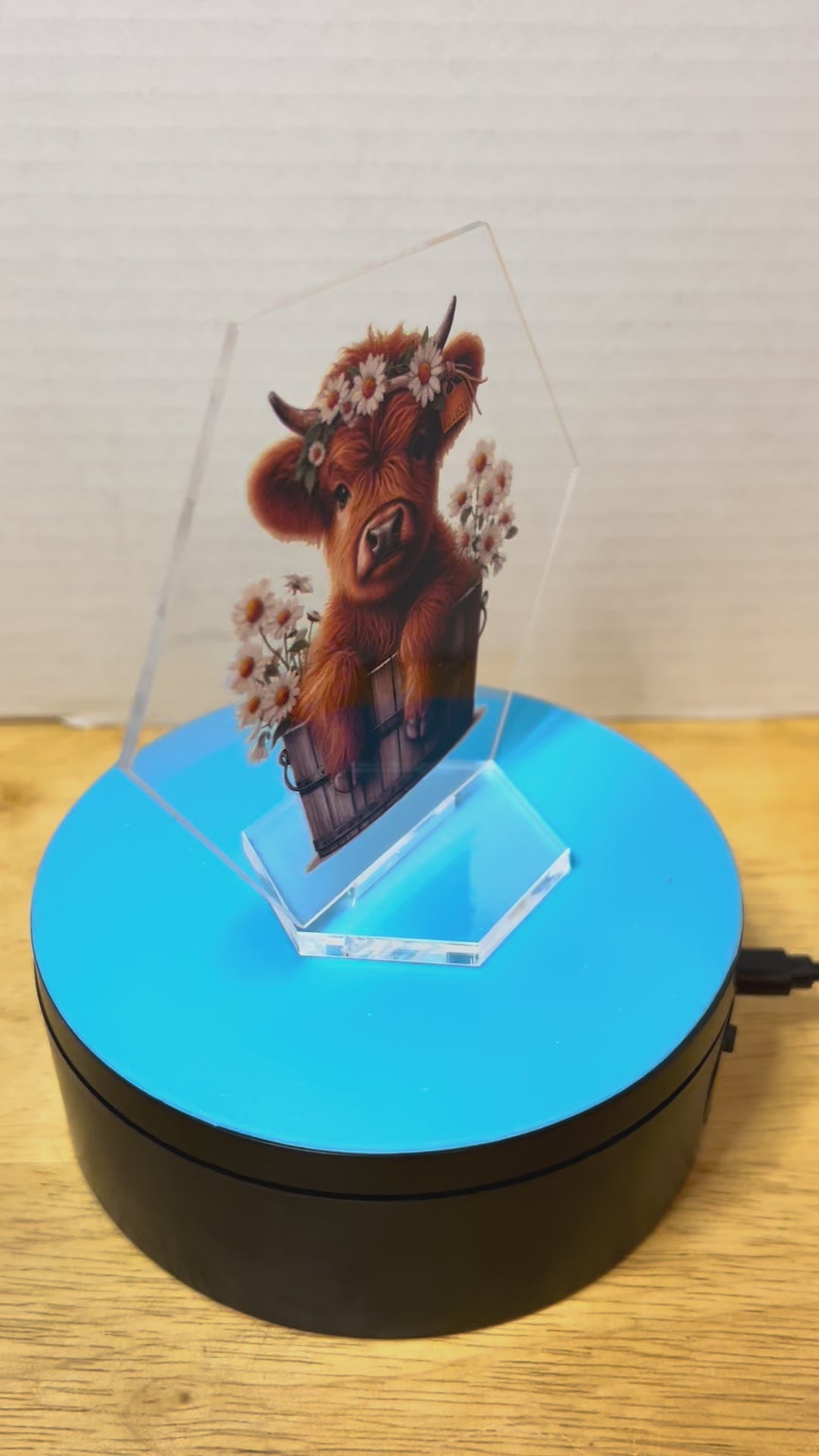 Panneau hexagonal en acrylique de 4,5 pouces avec un magnifique design
